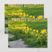 Carte Postale Daffodiques (Devant / Derrière)
