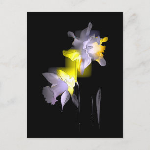 Carte Postale Daffodiques cubes