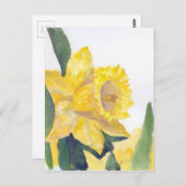 Carte postale Daffodiques de printemps (Devant / Derrière)