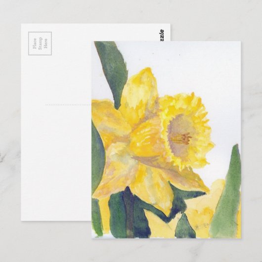 Carte postale Daffodiques de printemps (Devant / Derrière)