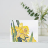 Carte Postale Daffodiques de printemps (Debout devant)