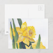 Carte Postale Daffodiques de printemps (Devant / Derrière)