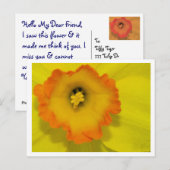 Carte Postale Daffy (Devant / Derrière)