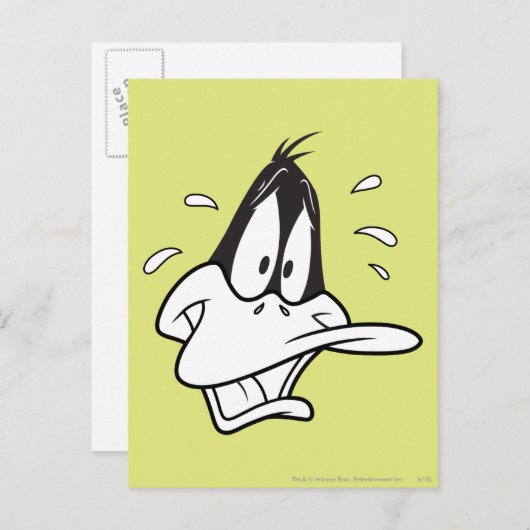 CARTE POSTALE DAFFY DUCK™ (Devant / Derrière)