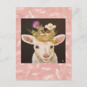 carte postale d'agneau (Devant)