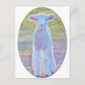 Carte postale d'agneau (Devant)