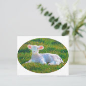 Carte postale d'agneau (Debout devant)