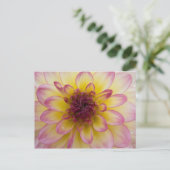 Carte postale Dahlia (Debout devant)