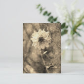 Carte Postale Dahlia (Debout devant)