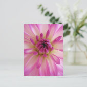 Carte postale Dahlia (Debout devant)