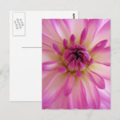 Carte postale Dahlia (Devant / Derrière)