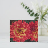 Carte Postale Dahlia (Debout devant)