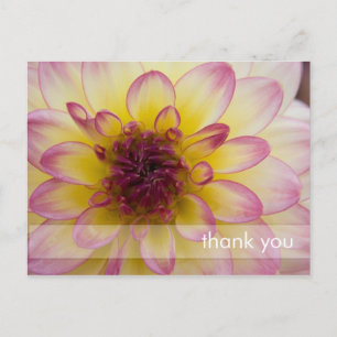 Carte Postale Dahlia bordeaux, jaune et blanc
