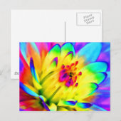 Carte Postale dahlia colorée (Devant / Derrière)