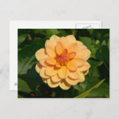 Carte Postale Dahlia 'David Howard' (Devant / Derrière)