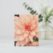 Carte Postale Dahlia délicate (Debout devant)