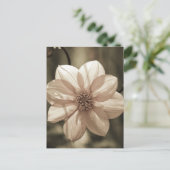 Carte Postale Dahlia ensoleillé (Debout devant)