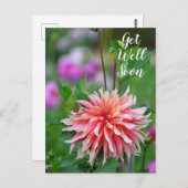 Carte Postale Dahlia Fleur Orange et Rose Prompt Rétablissement (Devant / Derrière)