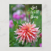 Carte Postale Dahlia Fleur Orange et Rose Prompt Rétablissement (Devant)