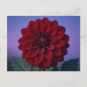 Carte Postale Dahlia Fleur Rouge Bourgogne Élégant