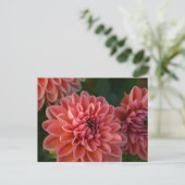 Carte Postale Dahlia Flowers (Debout devant)