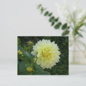 Carte Postale Dahlia Jaune Douce (Debout devant)