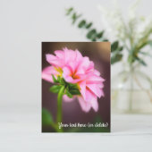 Carte postale Dahlia rose (Debout devant)