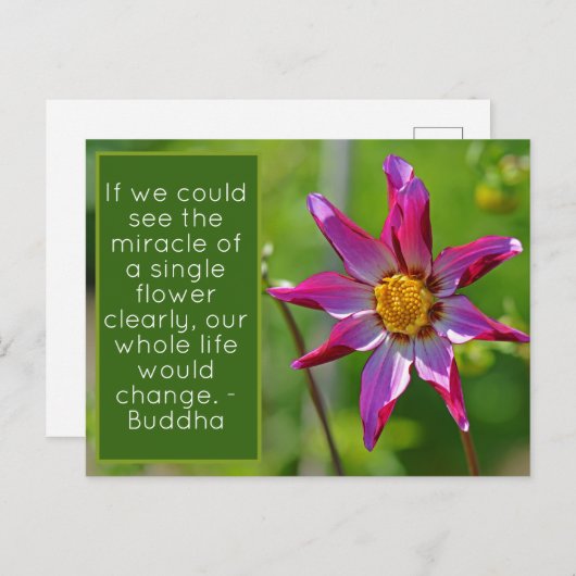 Carte Postale Dahlia rose et violet fleur Inspiration Postca (Devant / Derrière)