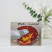 Carte postale d'aide à la cuisine de Cuisine gris (Debout devant)