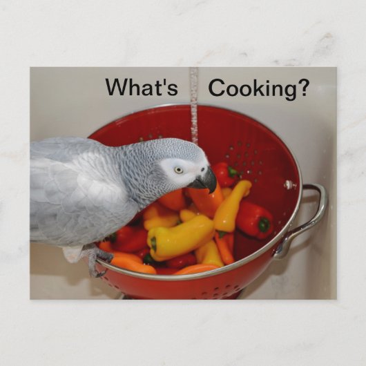 Carte postale d'aide à la cuisine de Cuisine gris (Devant)