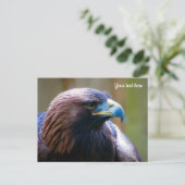Carte postale d'Aigle royal (Debout devant)