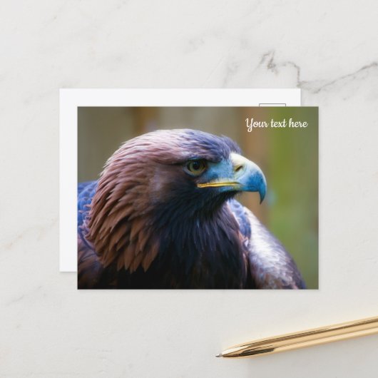 Carte postale d'Aigle royal (Devant/Arrière en situation)