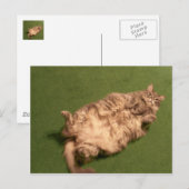 Carte Postale Daily Kitty Yoga de Fille Smoochie (Devant / Derrière)