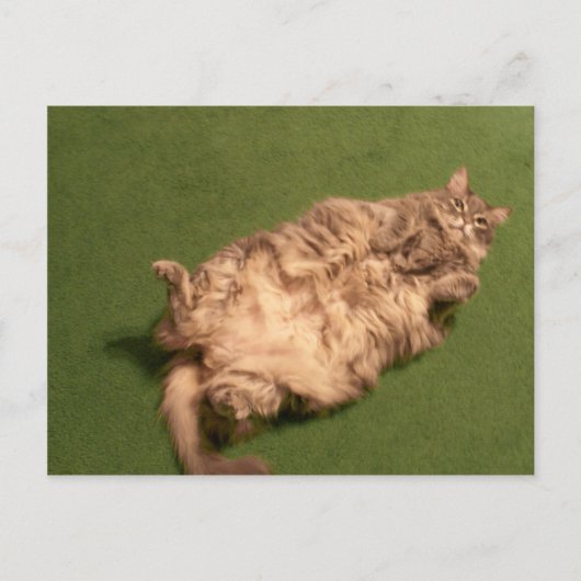 Carte Postale Daily Kitty Yoga de Fille Smoochie (Devant)
