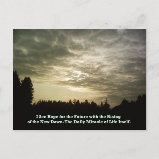 Carte postale Daily Miracle (Devant)