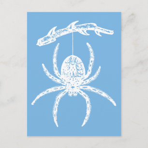 Carte postale Dainty Blue Spider