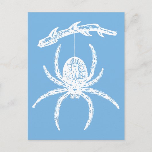 Carte postale Dainty Blue Spider (Devant)