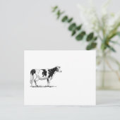 Carte Postale Dairy Cow Holstein Dessin au crayon de Frésie (Debout devant)