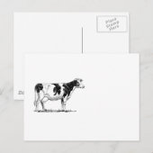 Carte Postale Dairy Cow Holstein Dessin au crayon de Frésie (Devant / Derrière)