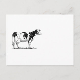 Carte Postale Dairy Cow Holstein Dessin au crayon de Frésie