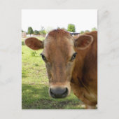 Carte postale Dairy Expert (Devant)