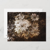 Carte Postale Daisées, Sepia, Grunge (Devant / Derrière)