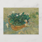 Carte Postale Daisies, Arles | Vincent van Gogh (Devant)