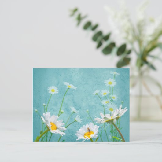 Carte Postale Daisies on a blue background (Debout devant)