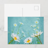 Carte Postale Daisies on a blue background (Devant / Derrière)