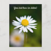 Carte postale Daisy (Devant)