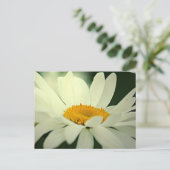 Carte postale Daisy (Debout devant)