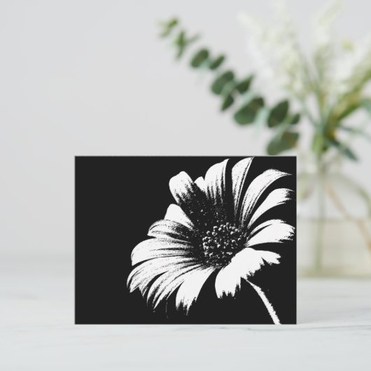 Carte Postale Daisy (Debout devant)