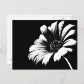 Carte Postale Daisy (Devant / Derrière)