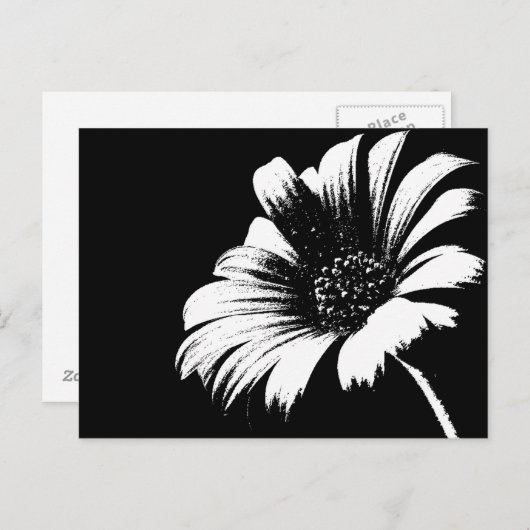 Carte Postale Daisy (Devant / Derrière)